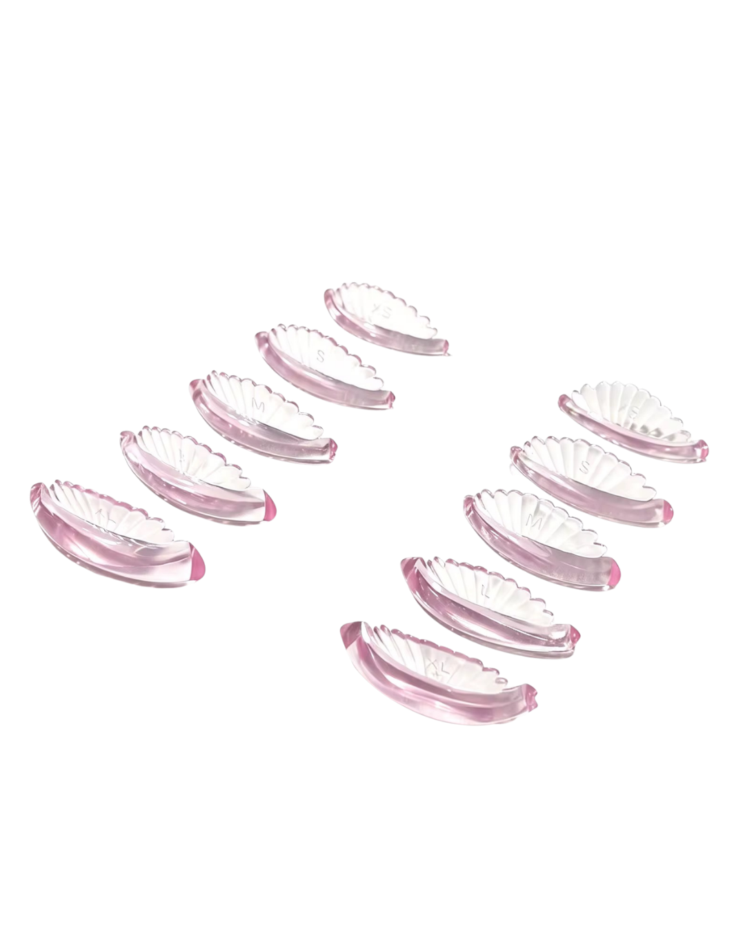 “CONCHITA” CU CURL ROD 🐚💕