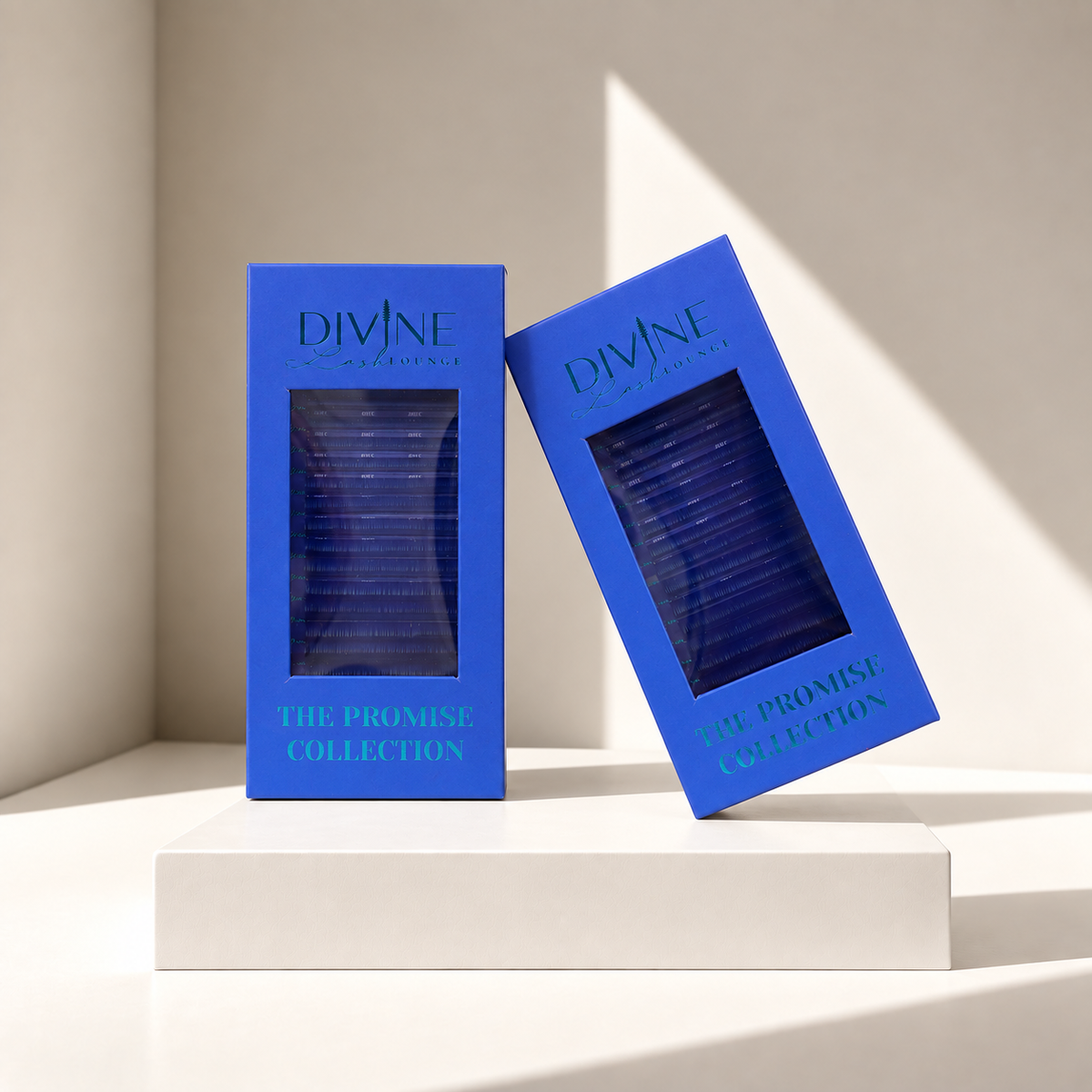 The Promise Collection 🌈